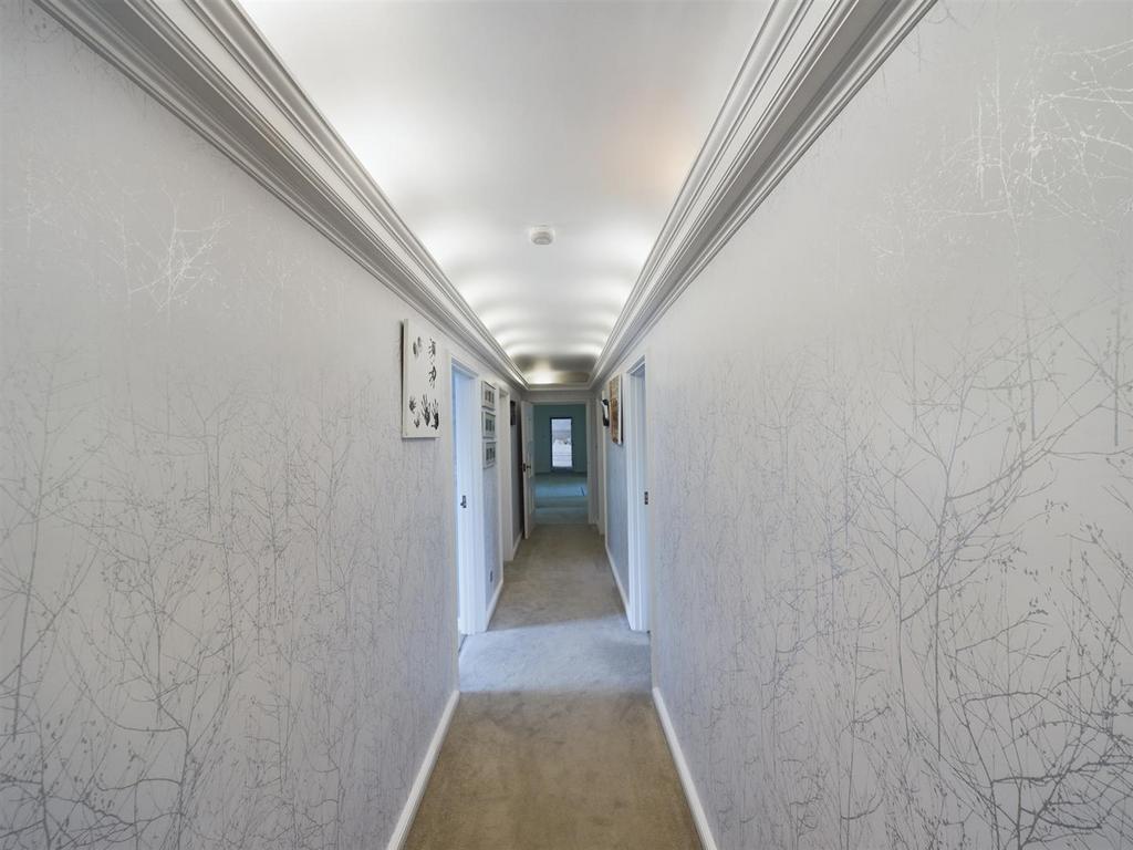 CAM02009 G0-PR0240-STILL012.jpg