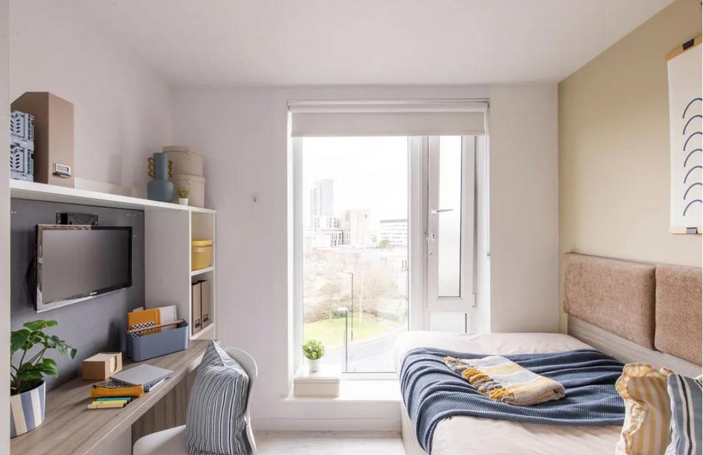 Screenshot 2024-11-20 125741.jpg