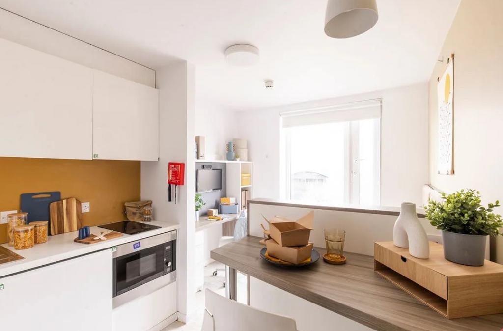 Screenshot 2024-11-20 125900.jpg