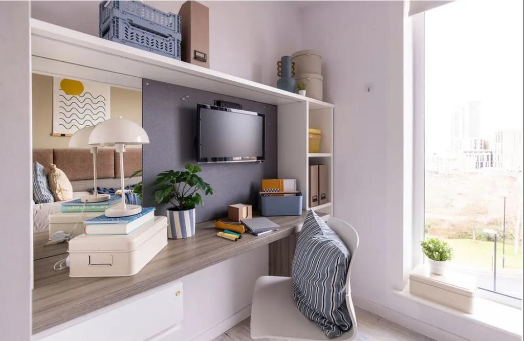 Screenshot 2024-11-20 125823.jpg