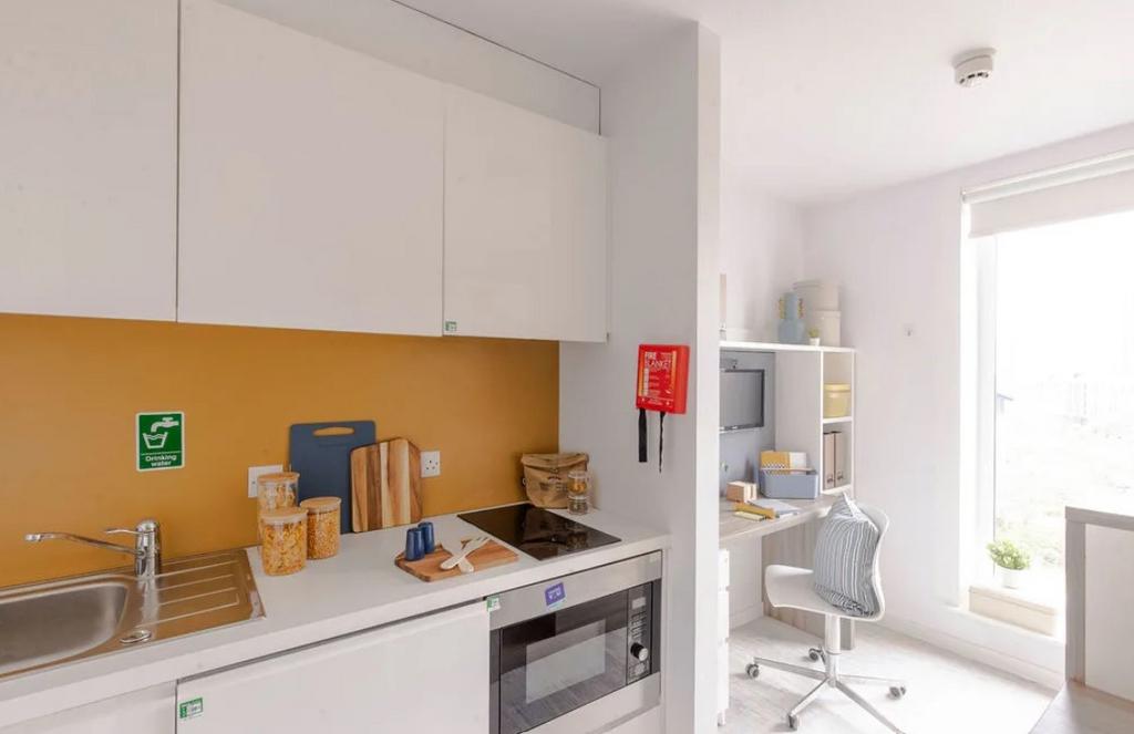 Screenshot 2024-11-20 130022.jpg