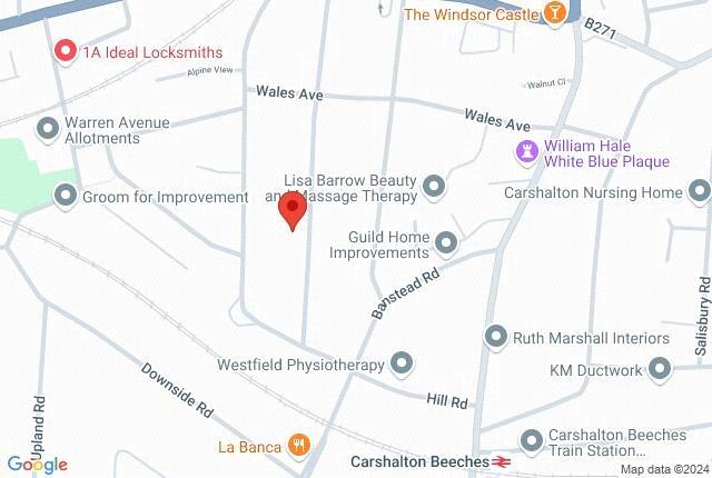 Google Maps Image