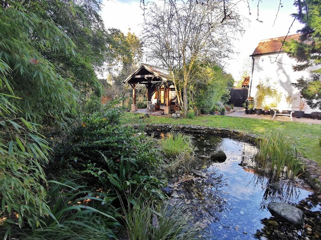 Pond & Studio