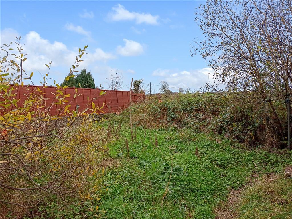 Rear Gardens