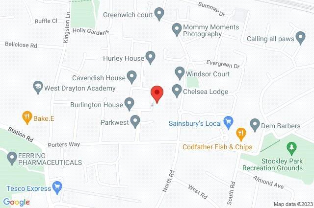Google Maps Image
