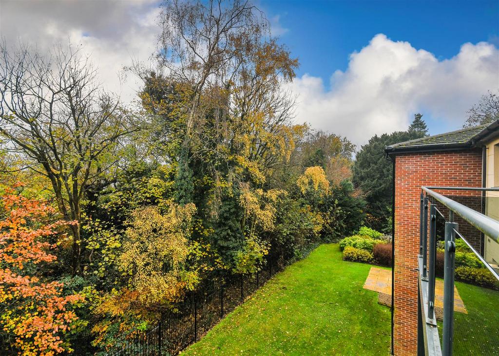 52 Thorneycroft - Balcony View.jpg