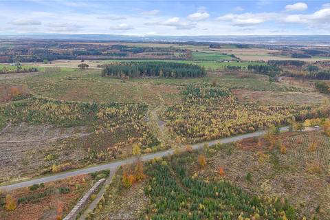 Land for sale, Clackmannan Woodland, Forestmill, Alloa, FK10