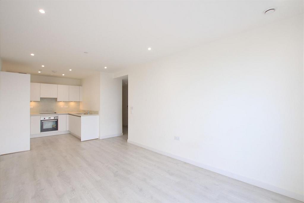 Open Plan Kitchen/ Reception Room