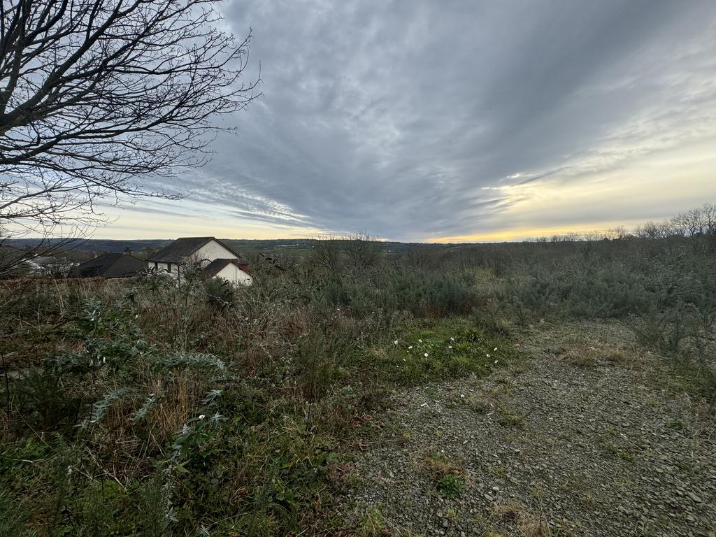The site