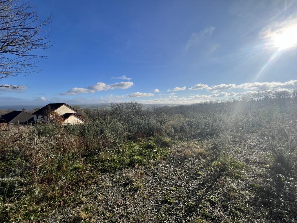 The site
