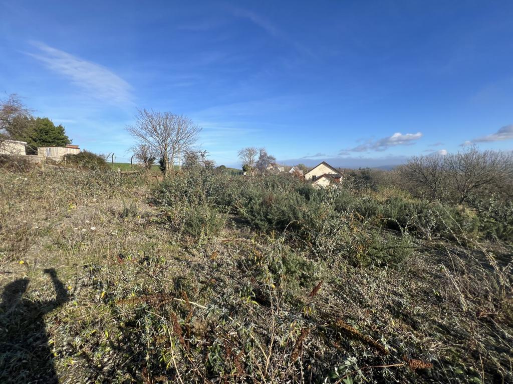 The site