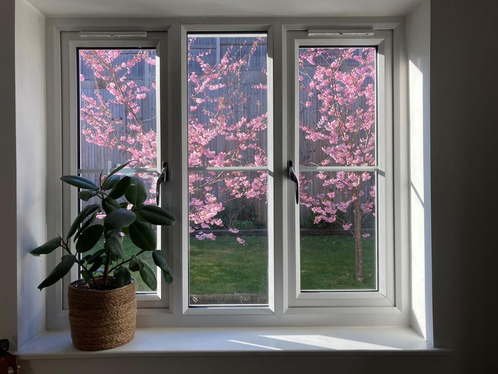 View from Window Vendor Photo