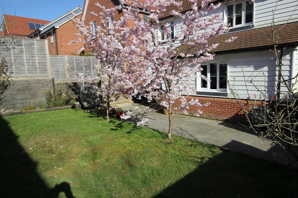 Garden 2