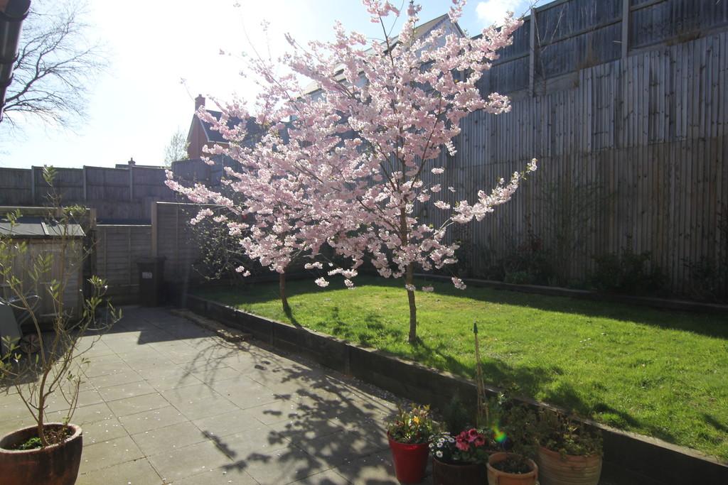 Garden 3