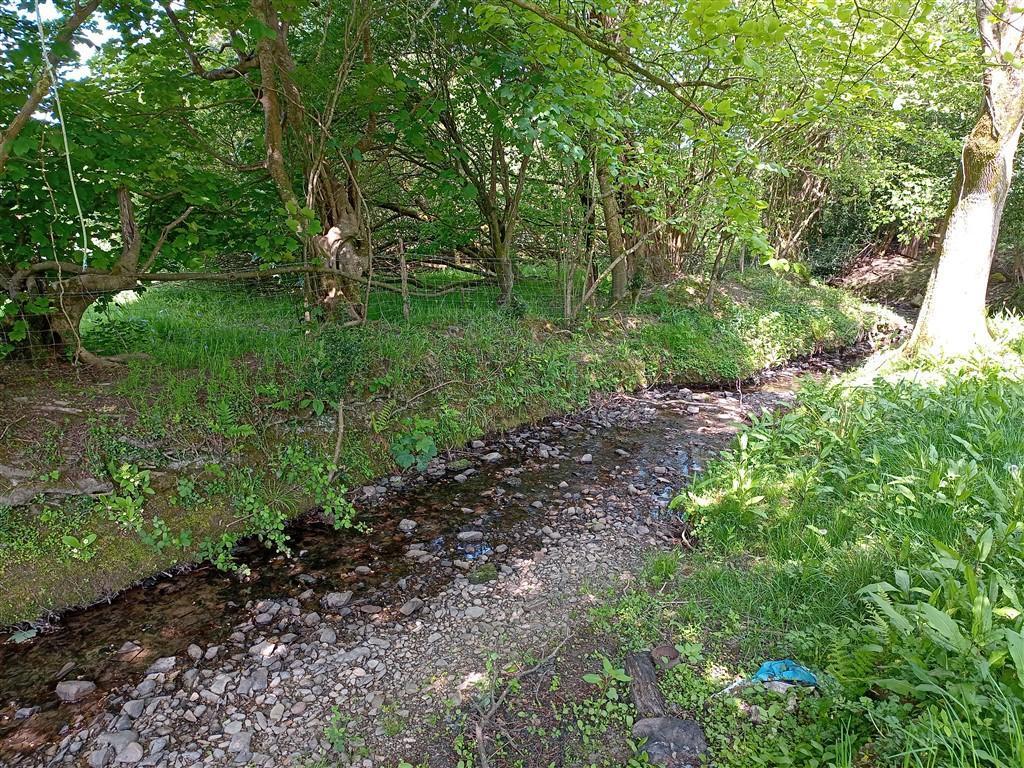 Small Stream Running Through