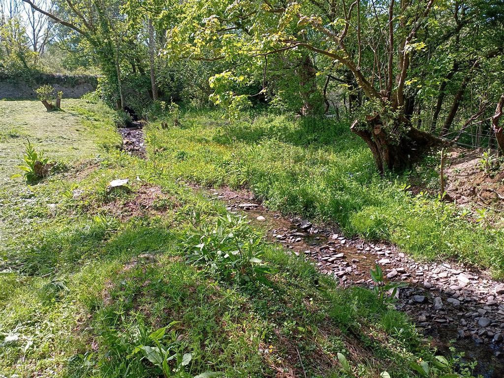 Another View Of Stream