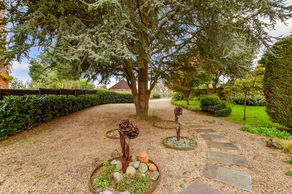 Driveway/Parking