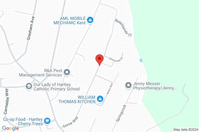 Google Maps Image