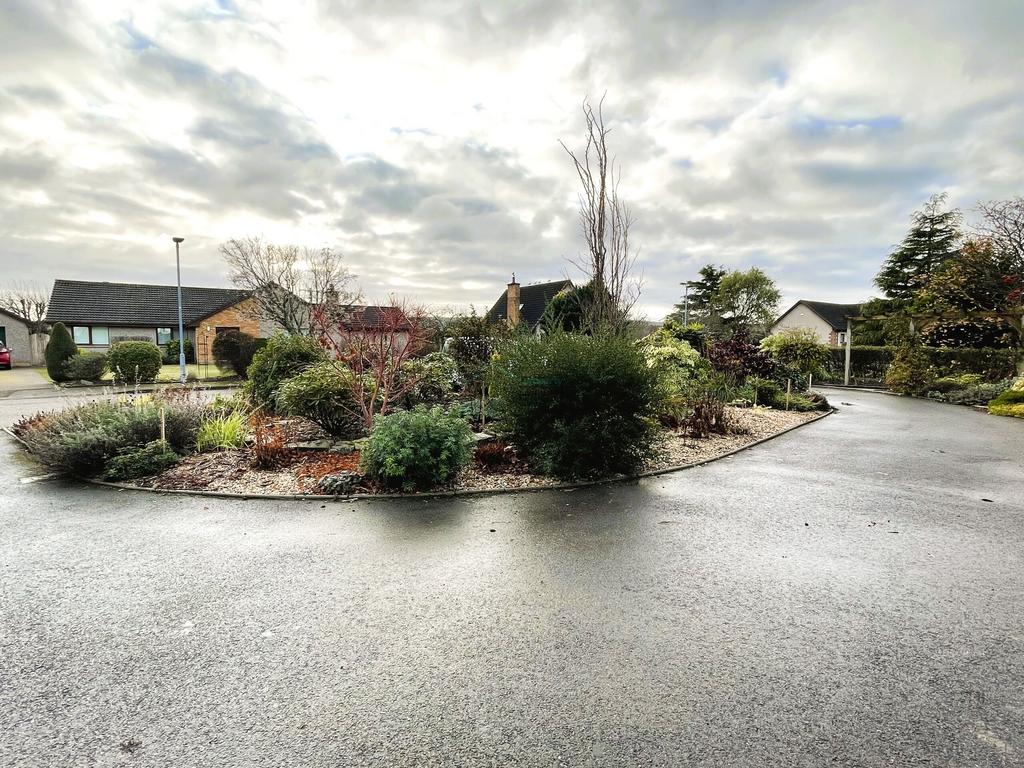 Front garden.JPG