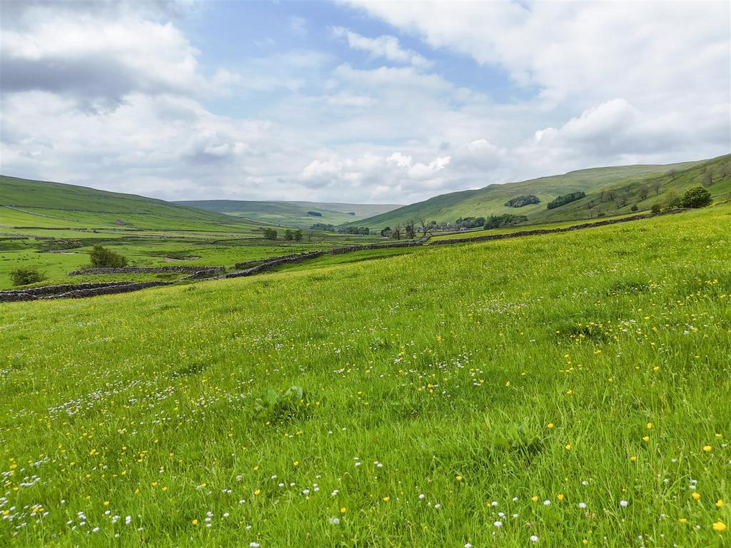 LOT 2 – Barn and paddock (currently unfenced) 0013