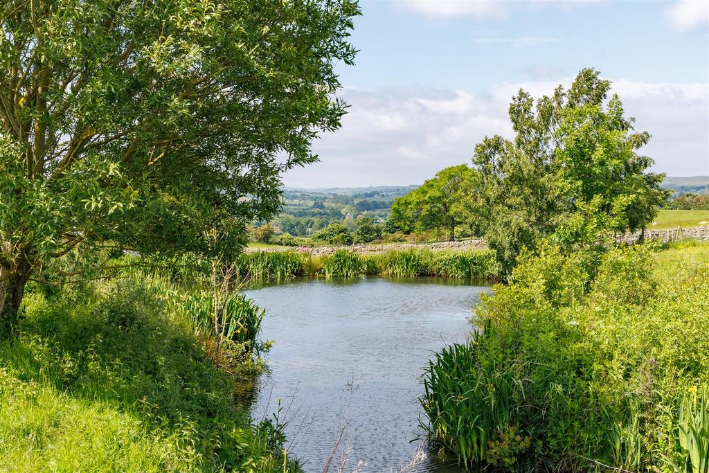 Wildlife pond