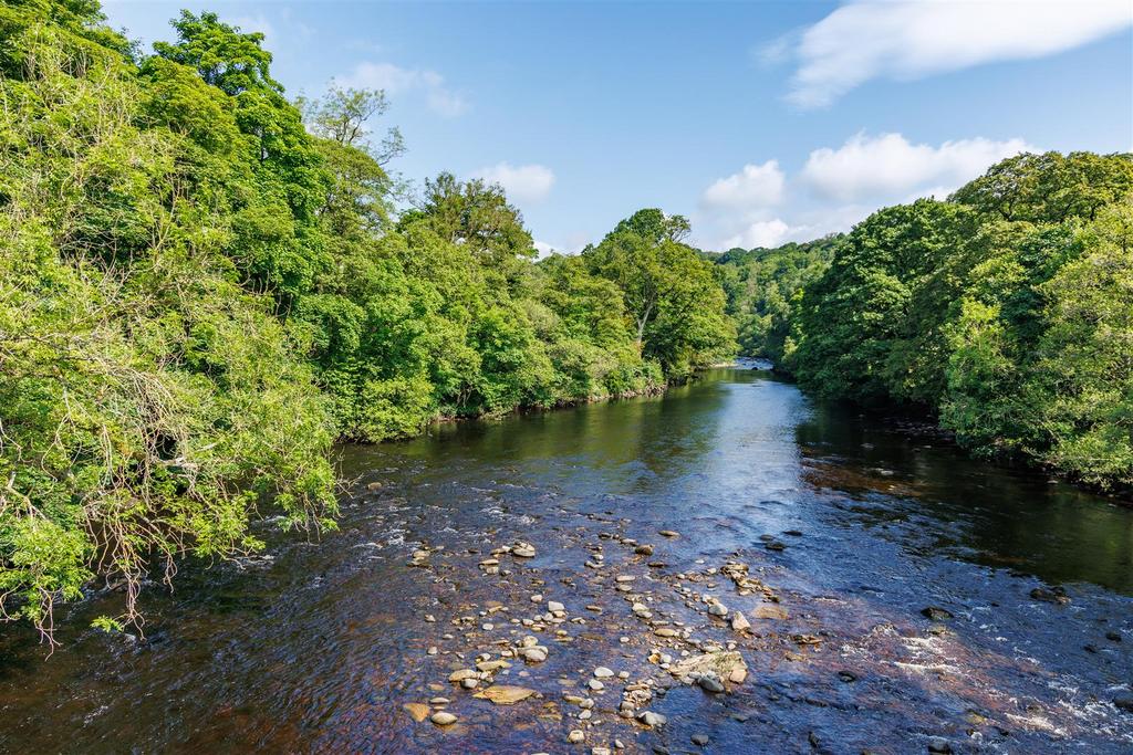 River Tees