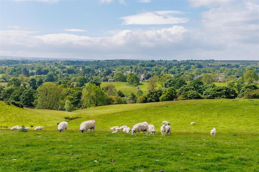 Productive livestock farm