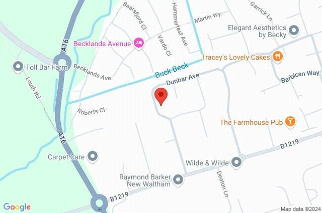 Google Maps Image
