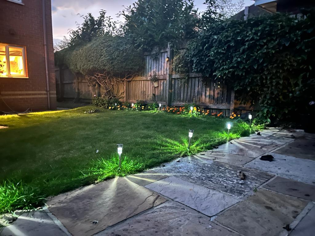 Garden at night.JPG