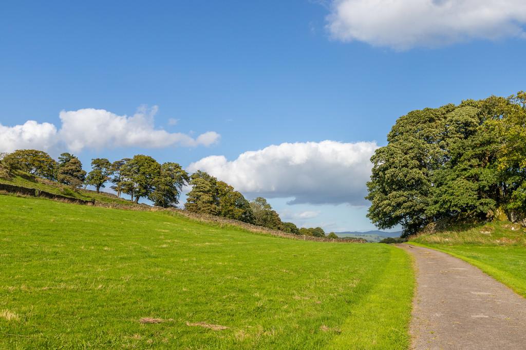 Private driveway to Birk Moss House