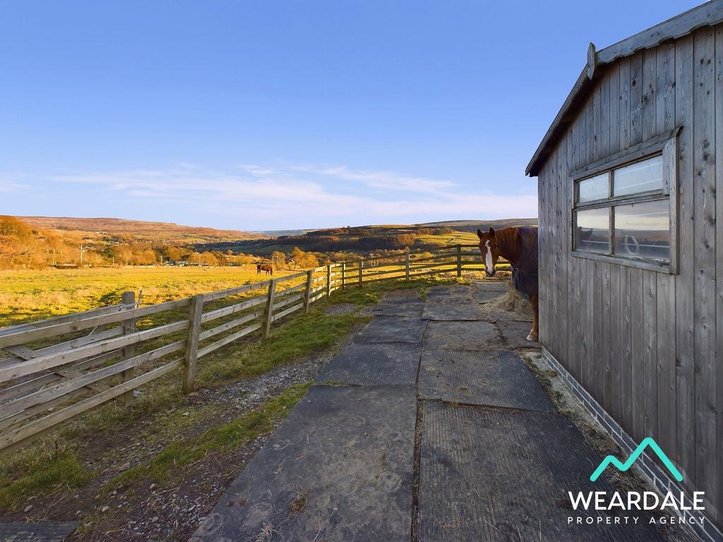 The Barns - Field Shelter