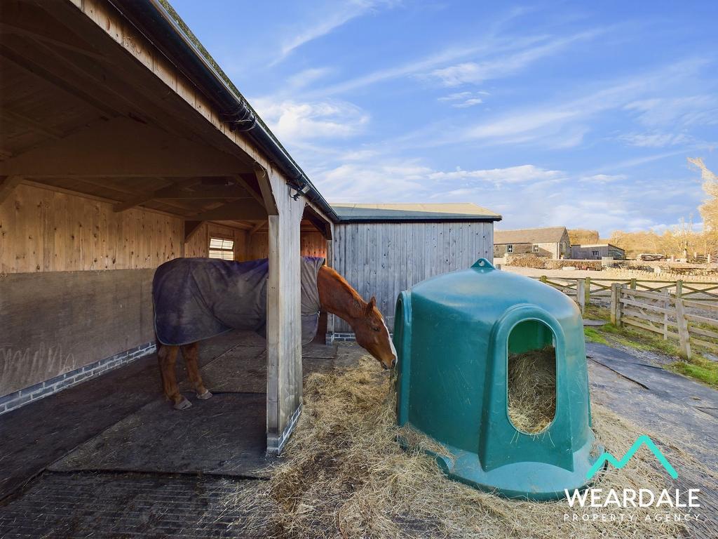 The Barns - Field Shelter