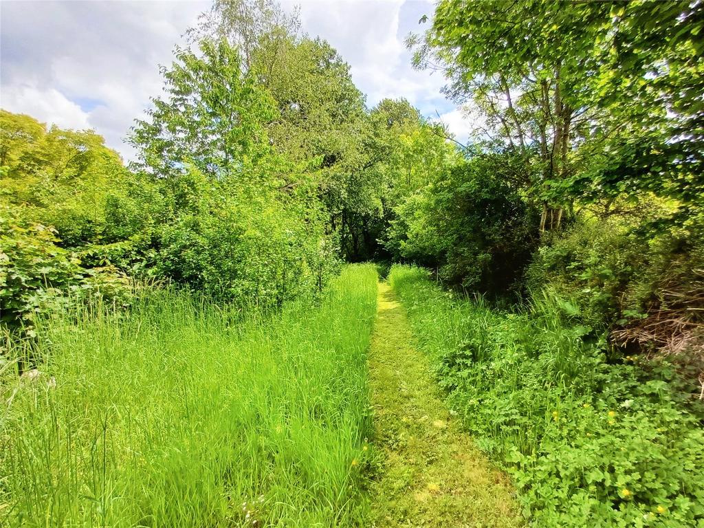 Wild Garden &amp; Wood