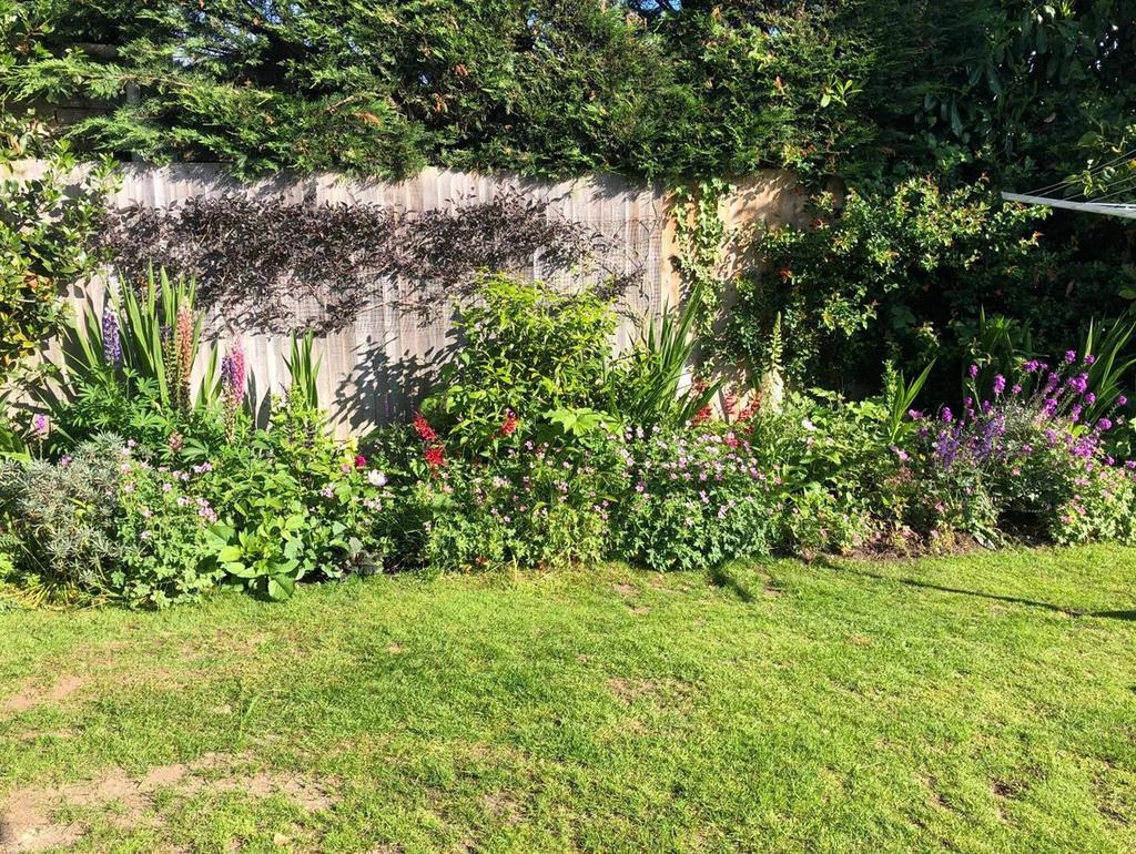 Rear garden.jpg