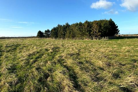 Land to rent, North Grange, Ponteland, Newcastle upon Tyne, Northumberland, NE20