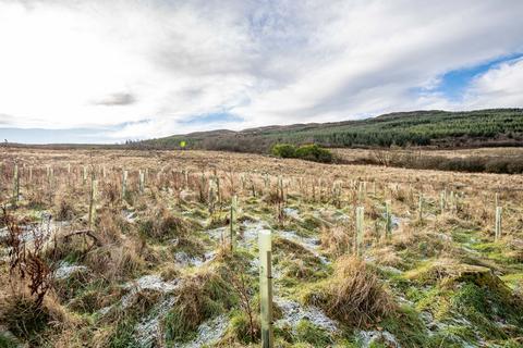 Land for sale, Dungarry Hill Plantation, Auchencairn, Castle Douglas, DG7