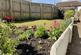 Sunnygarden bed.jpg