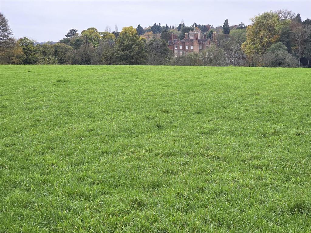 Plot