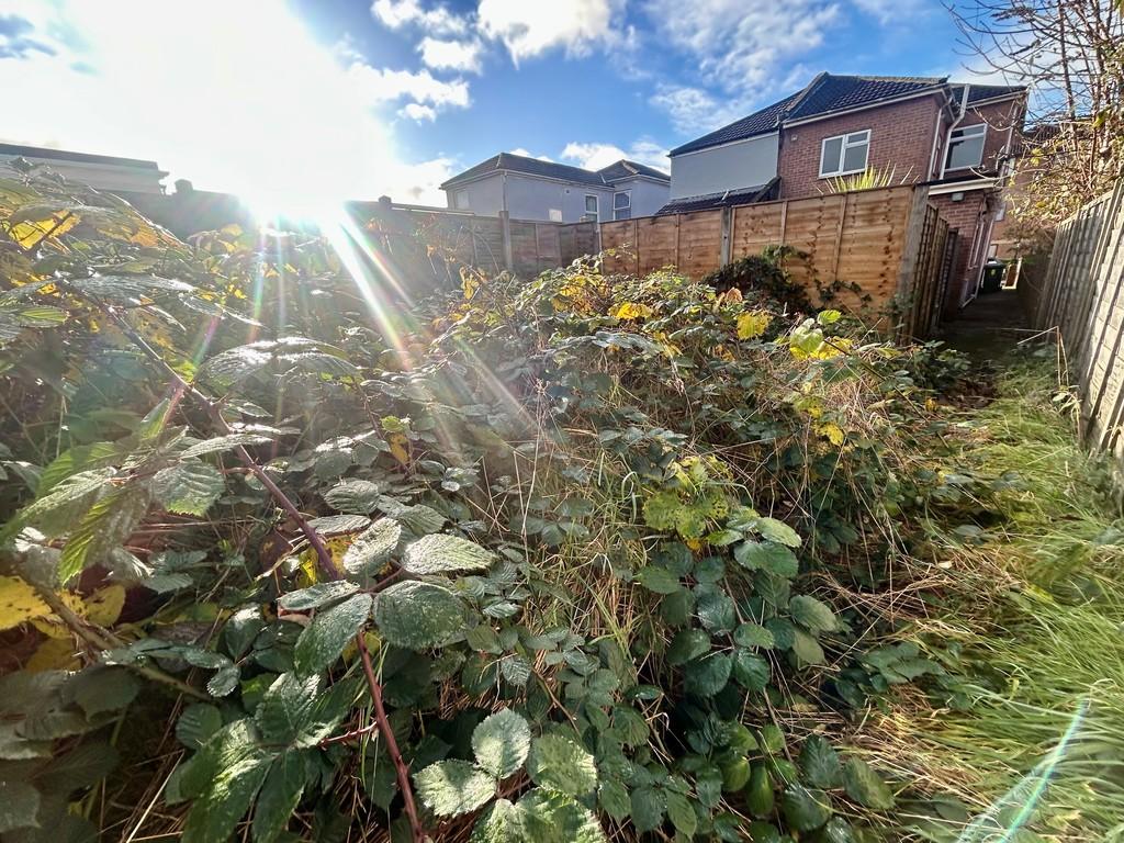 Garden (2)
