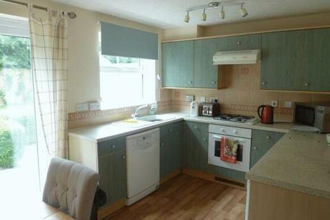 3 bedroom semi-detached house to rent, Trentham Close, Paignton