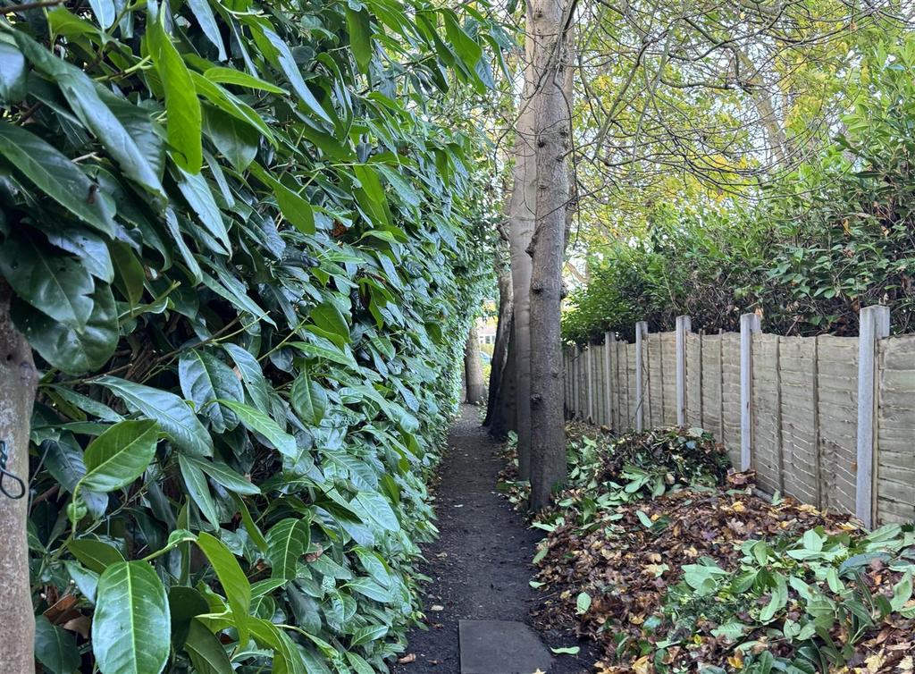 Path - leading to 392 Wakefield Road..jpg