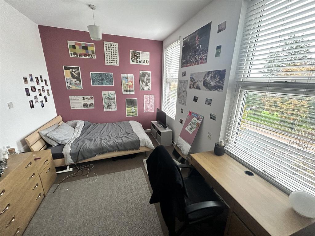 Picture 5