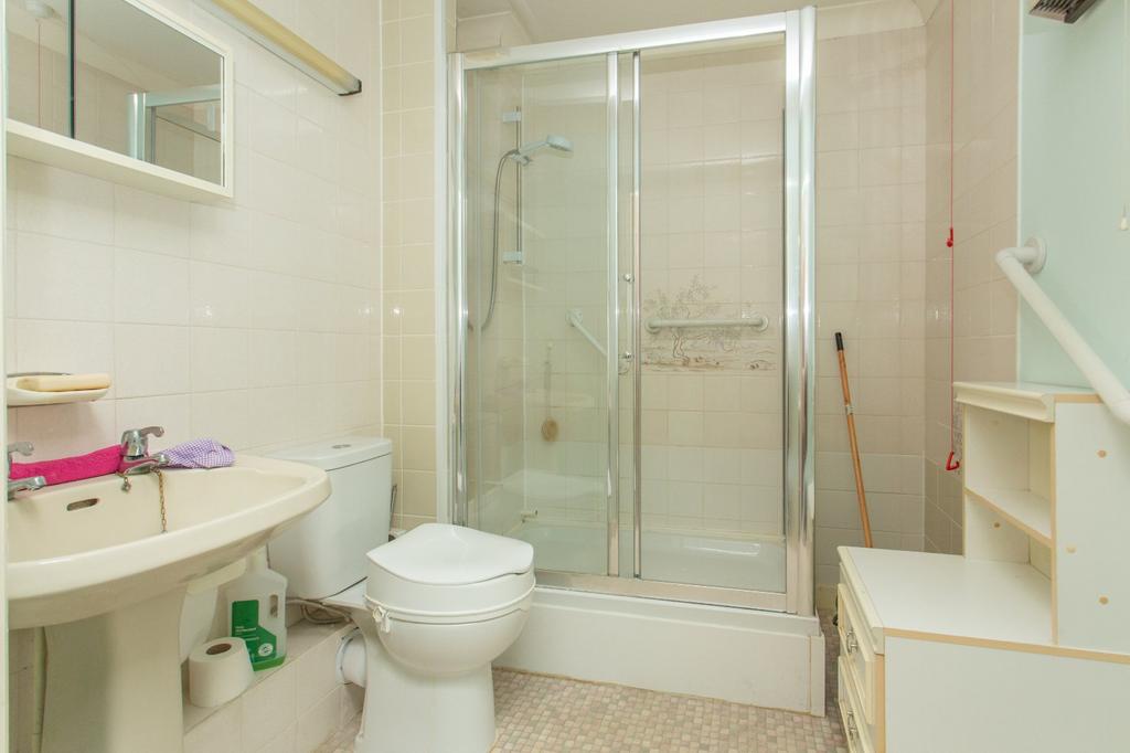 Picture 8