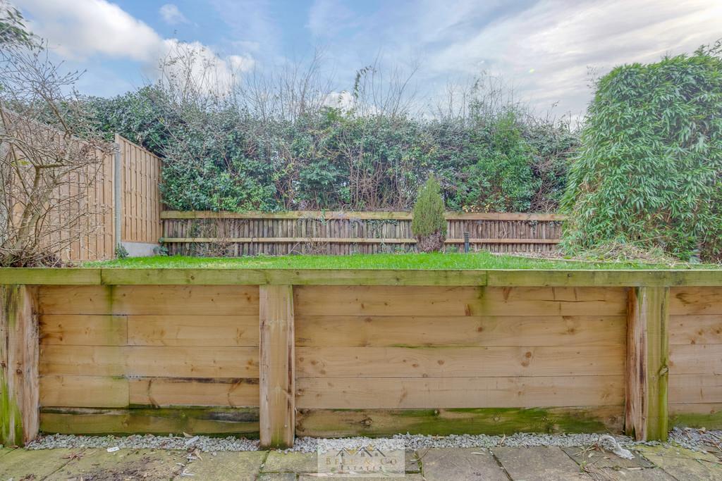 Back garden 1.1