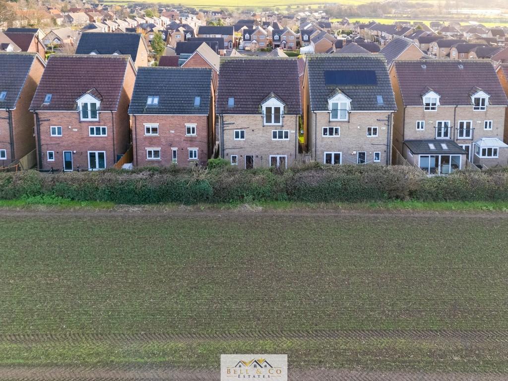 Aerial 4