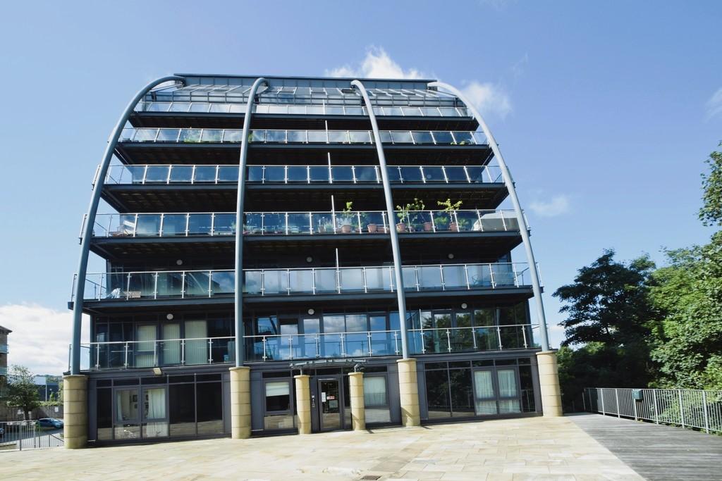 57251558-IMG 6067 6 original