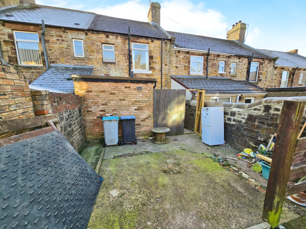 Rear Yard
