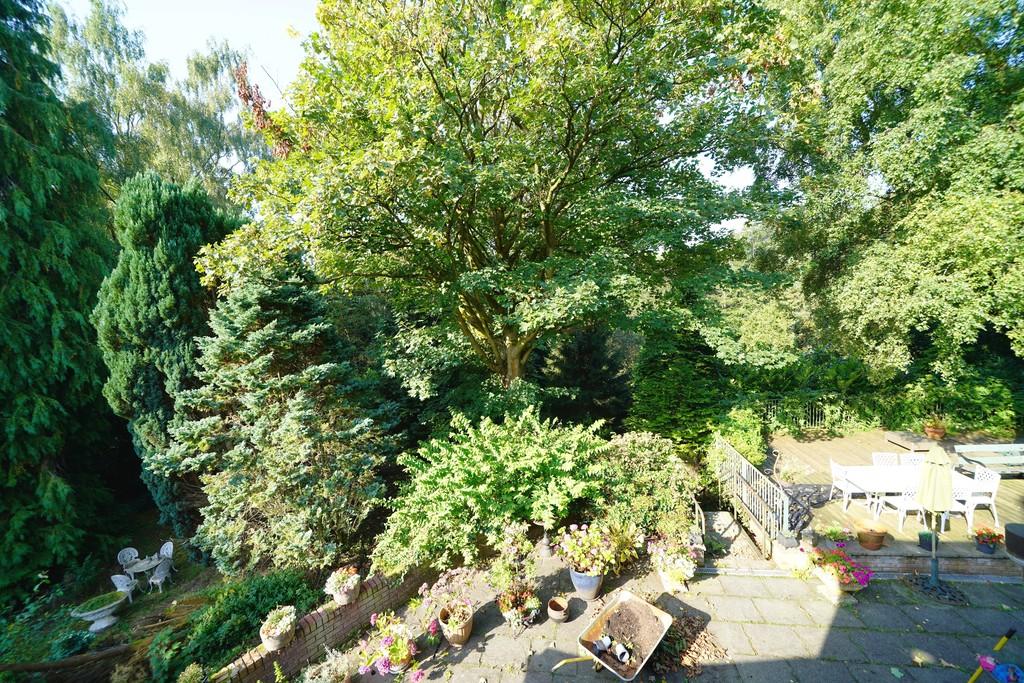 Outlook From The Master Bedroom