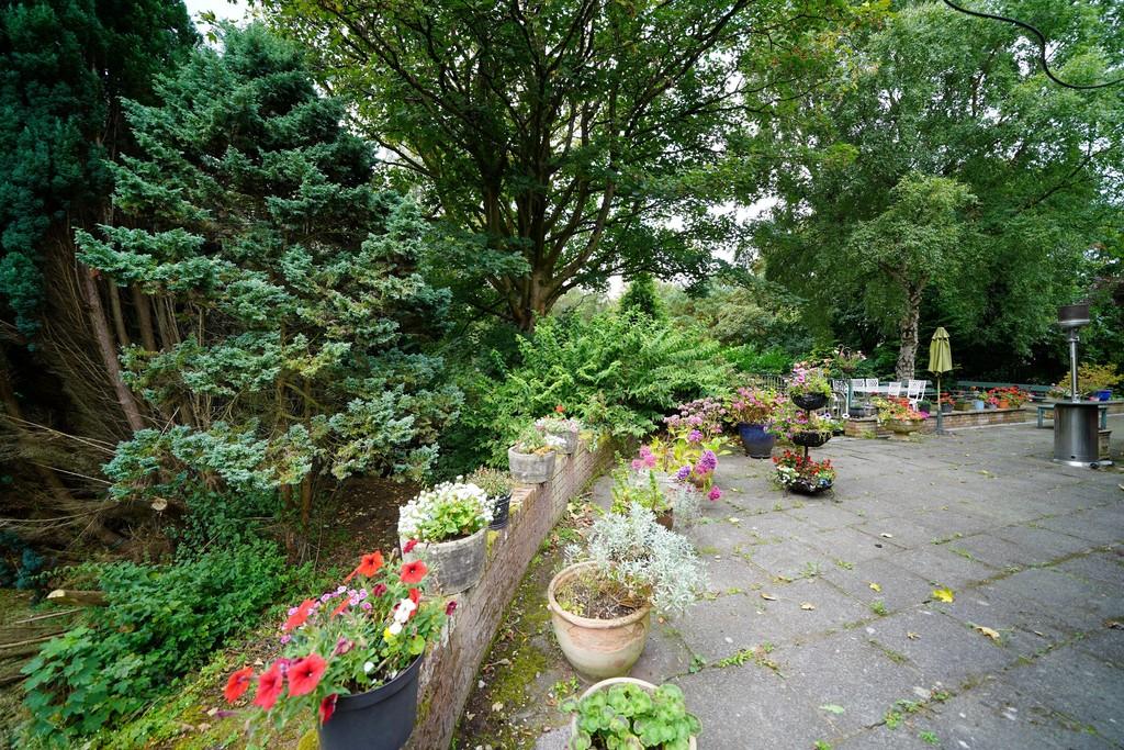 Patio To The Main Residence