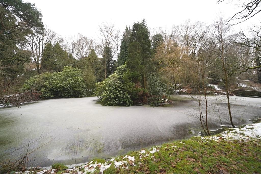 Lake 1 in the Winter